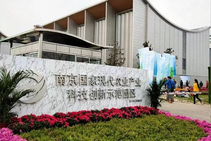 南京農創(chuàng)園零星工程審計